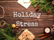 Holiday Stress Survival Guide
