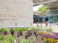 DreamNight at Lincoln Park Zoo